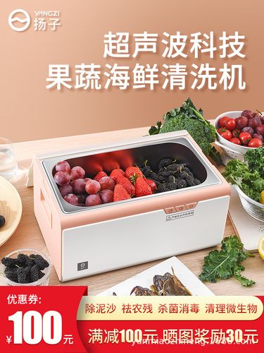 洗水果电器家用_洗水果用什么机器最好